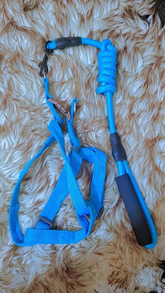 Harnais pour chien réglable