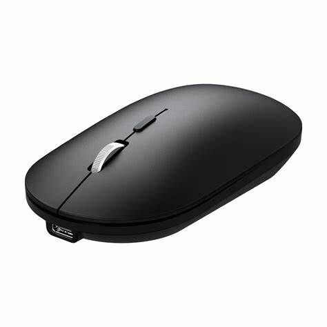 Souris sans fil ergonomique