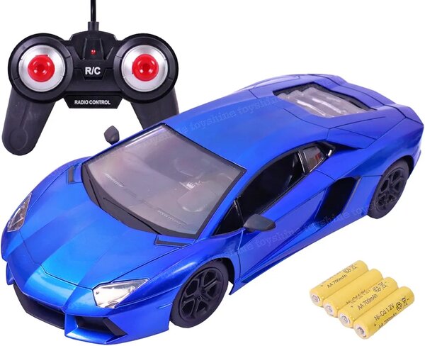 R/C Bonzer Car