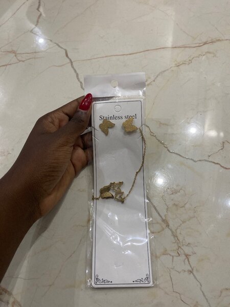 Parure acier inoxydable papillon