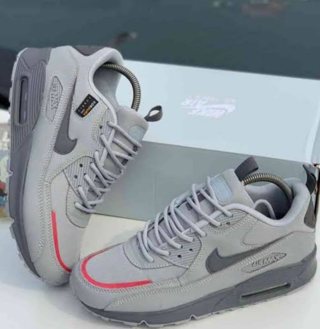 Chaussures Nike Air Max