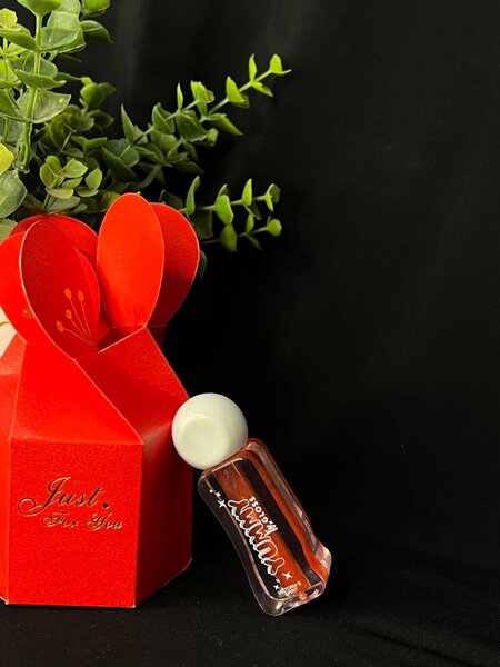 Gloss à Lèvres Brillant Glam