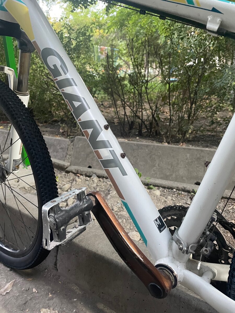 Фирменный Giant ATX MARS.