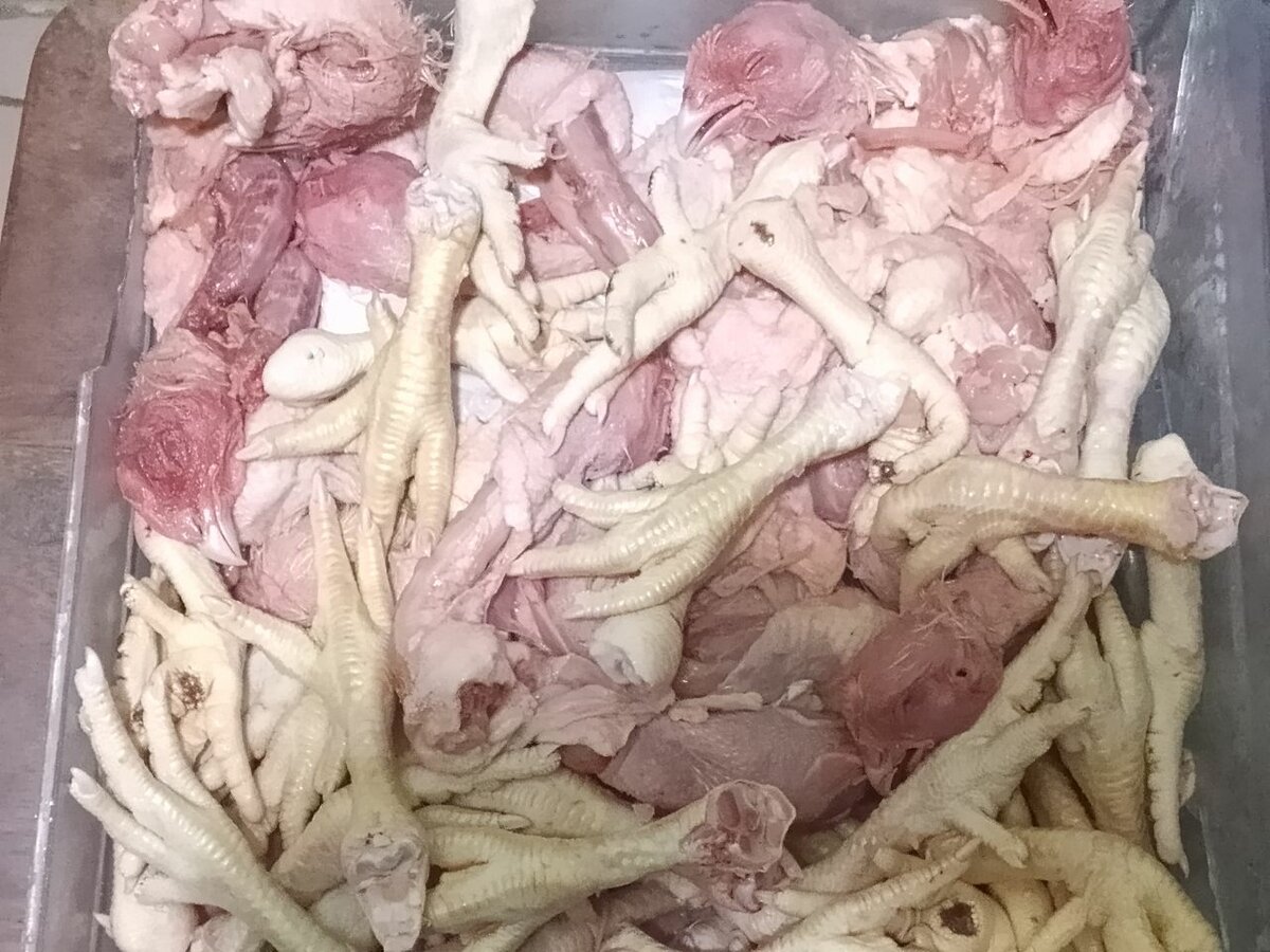 Pattes cous têtes de Poulet fr