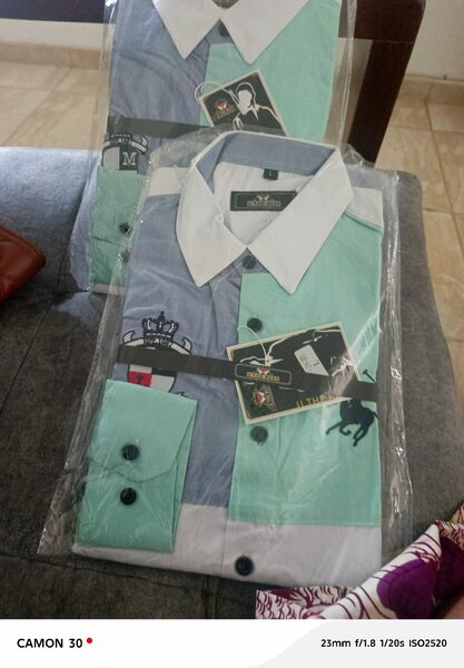 Chemise élégante à manches longues