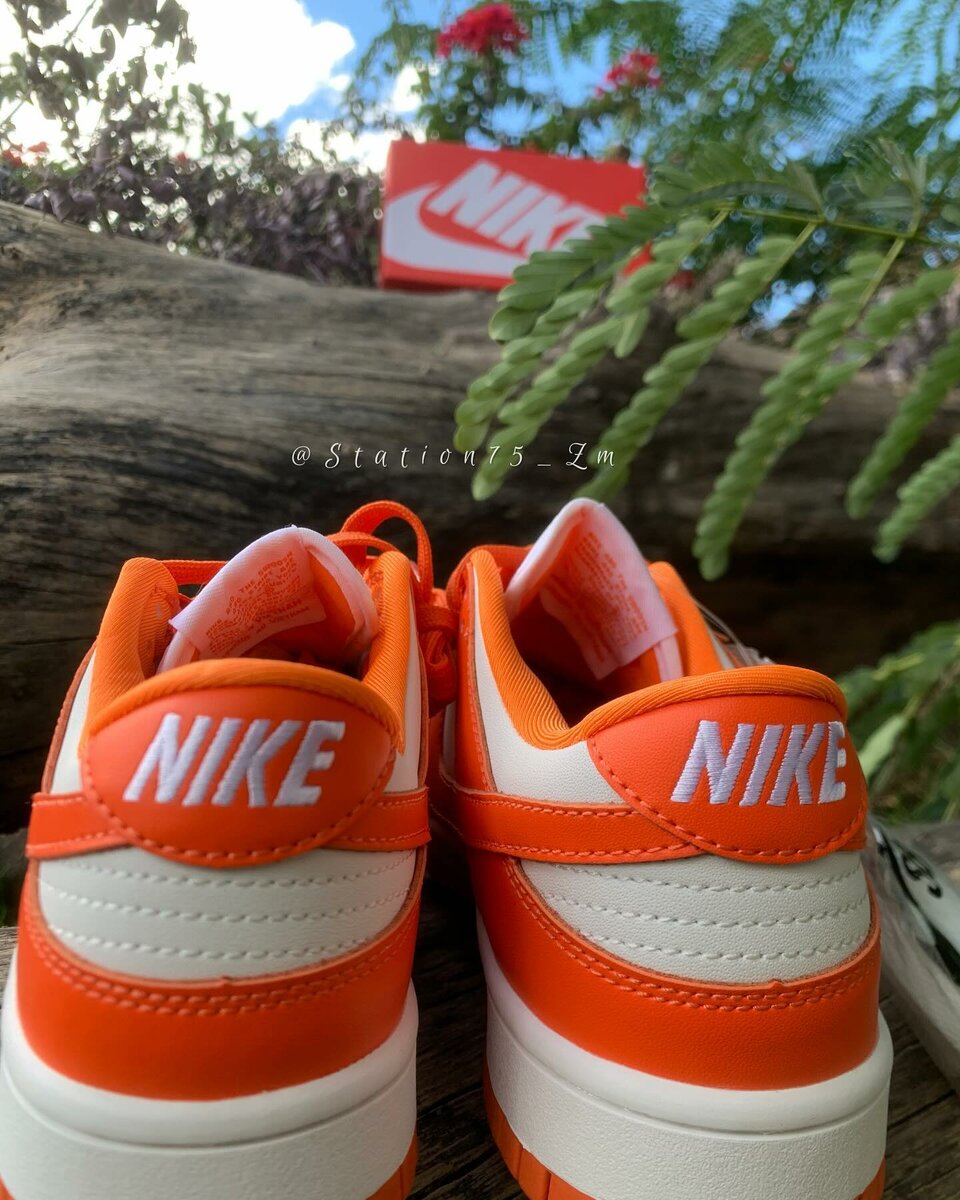 Nike Sb Dunks Low Orange Syracuse