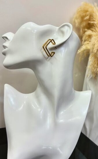 Earrings  Make them gaze 😉✨