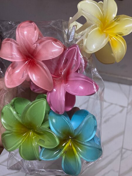 Pinces à cheveux fleurs colorées