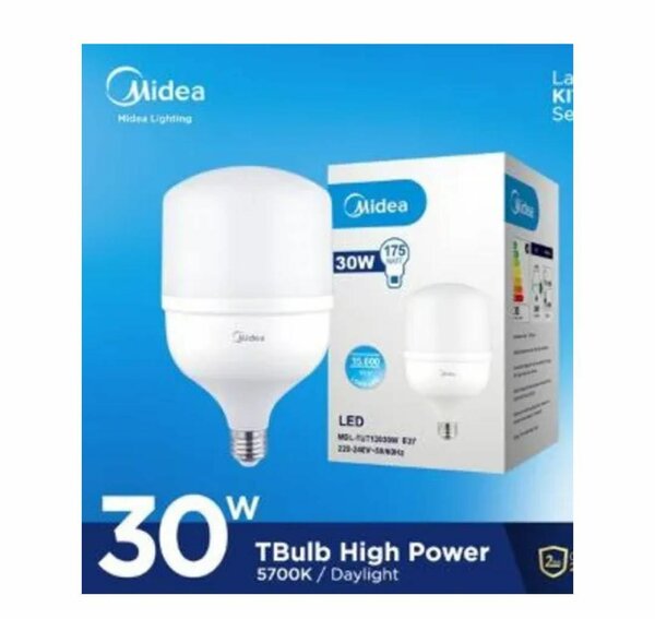 Ampoule LED 30W Haute Puissance