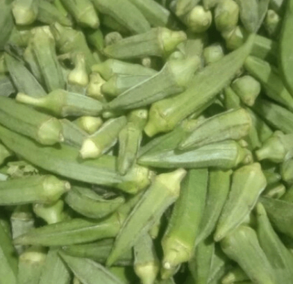 Bhindee 1kg