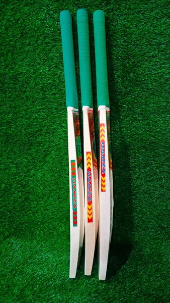Cricket bat