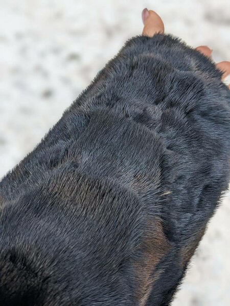 Норковая шуба