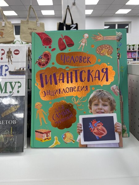 Книга детская человек гигантская энциклопедия