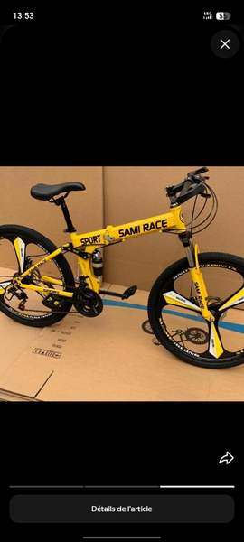 Vélo tout-terrain pliable