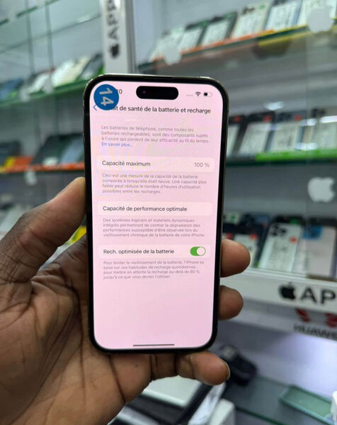 iPhone Pro Max 256Go