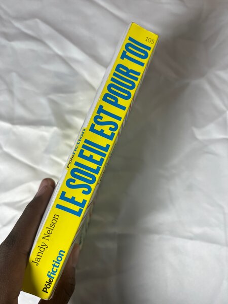 Le soleil est pour toi - Jandy Nelson