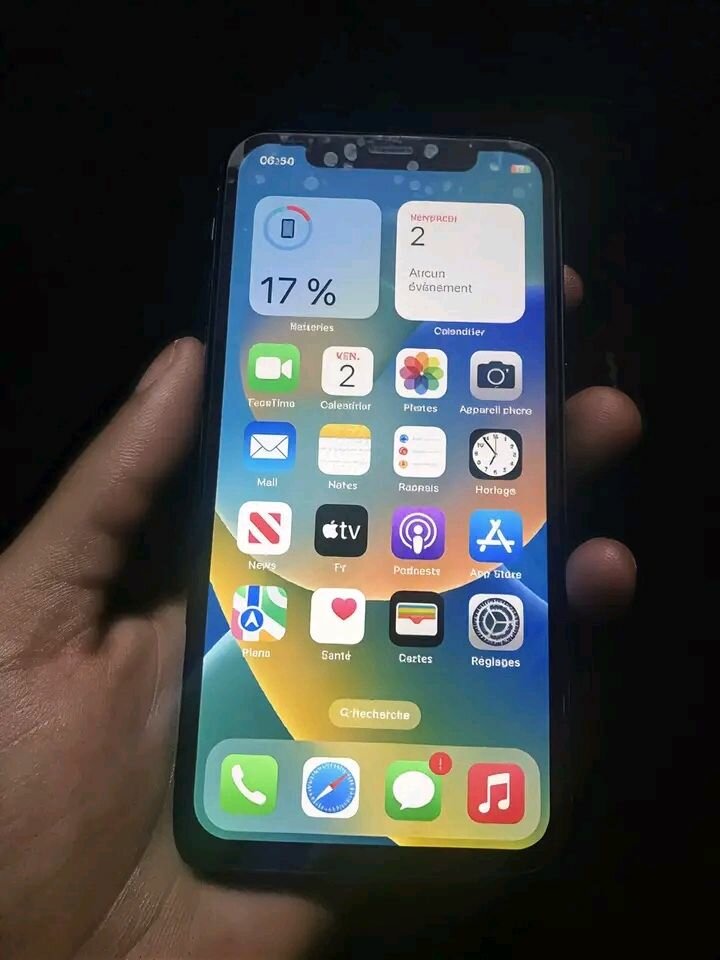 iPhone X