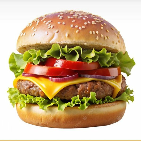 Délicieux Burger au Fromage