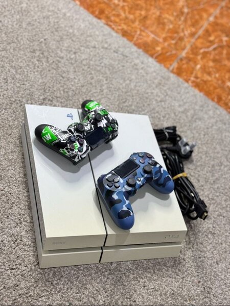 Neat PS 4 standard comes with 2 controllers