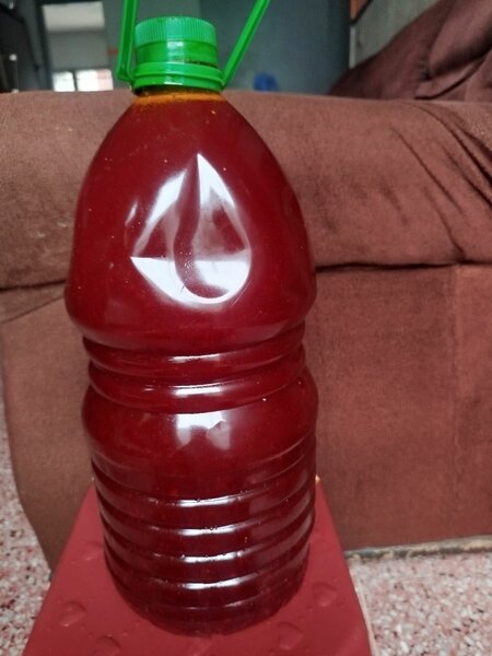 Huile de palme pure 5L