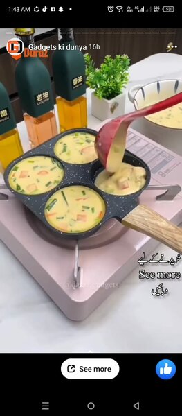 Partition frying pain