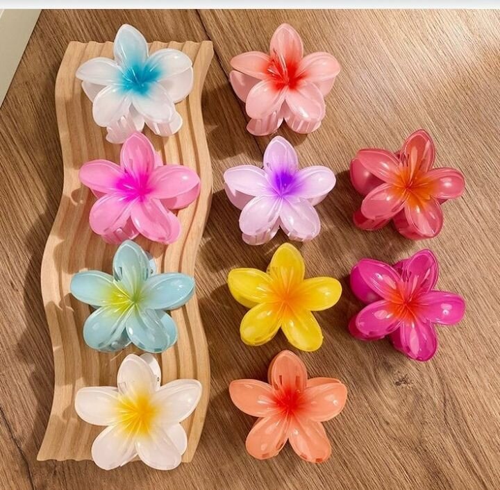 Barrettes fleurs colorées