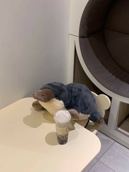 Мягкие игрушки Утканос Новый