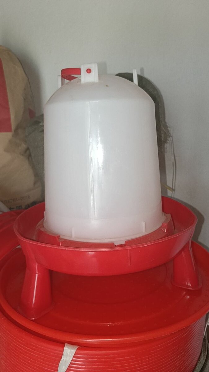 Abreuvoir à volaille plastique