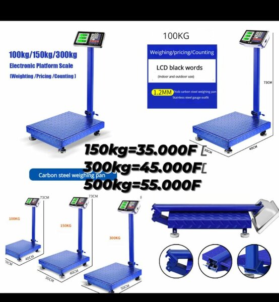 Balance Électronique Professionnelle - 300 kg