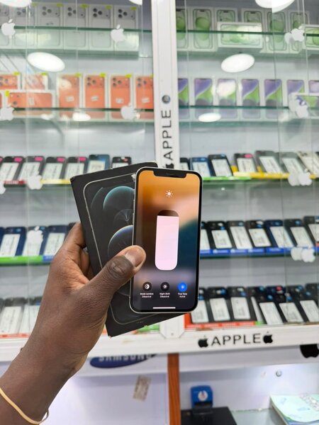 iPhone 11 Pro Max Apple reconditionné