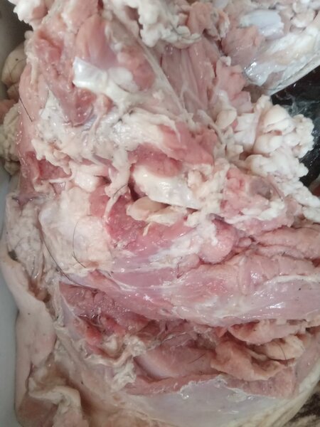 Viande de Porc africai  raîche