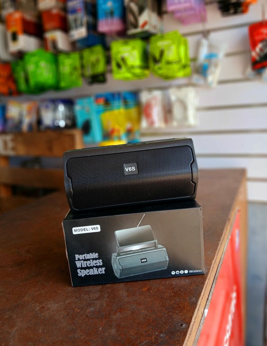 Portable wireless speaker