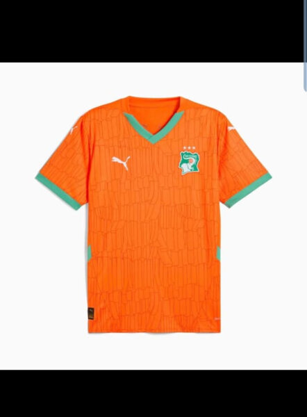 Maillot Côte d'Ivoire Puma