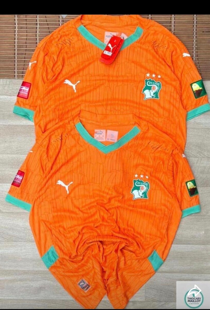 Maillot Côte d'Ivoire Puma