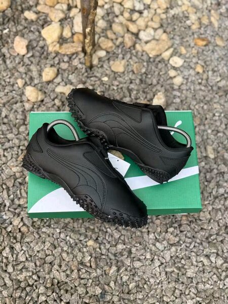 Puma monstro