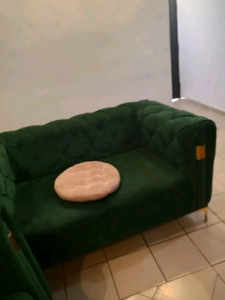 Canapé Vert Velours Élégant