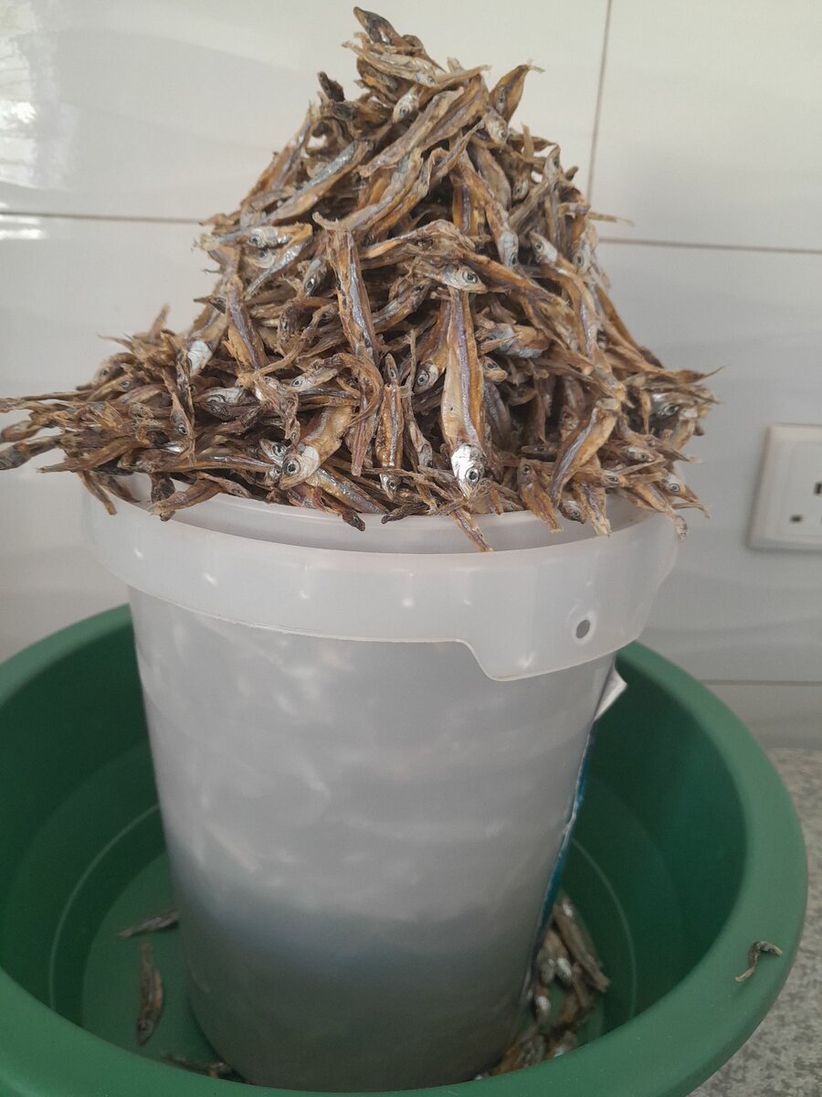 Kapenta Mpulungu High Grade