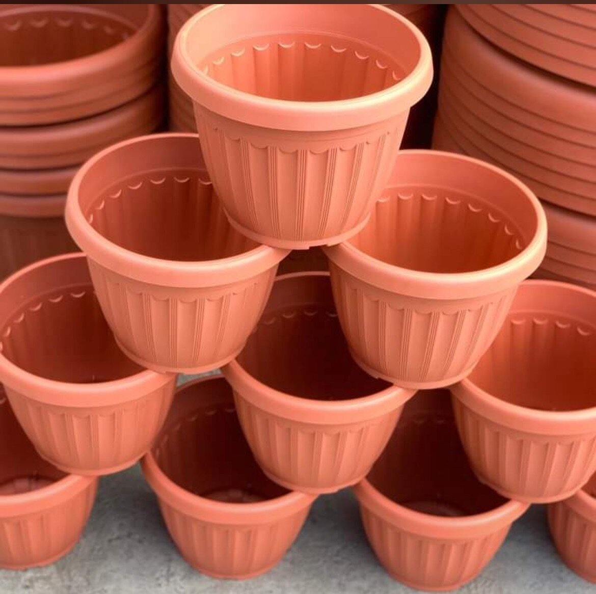Flowering Pots