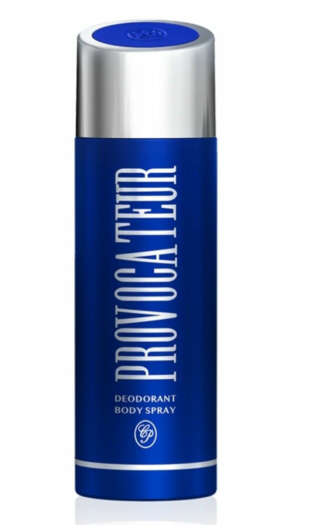 Provocateur - Provocatrice