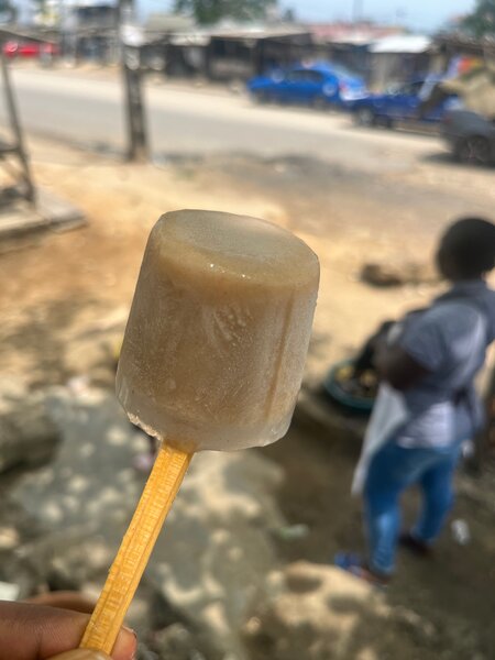 Baobab Grotto (Lot de 10)