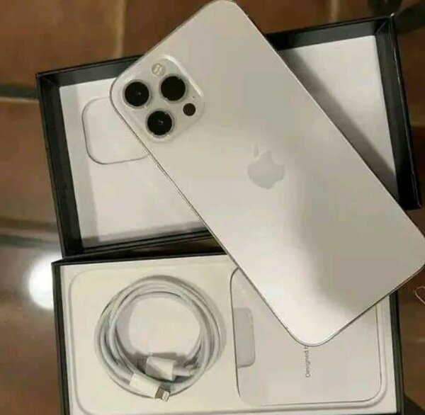 iPhone 13 Pro Max argent