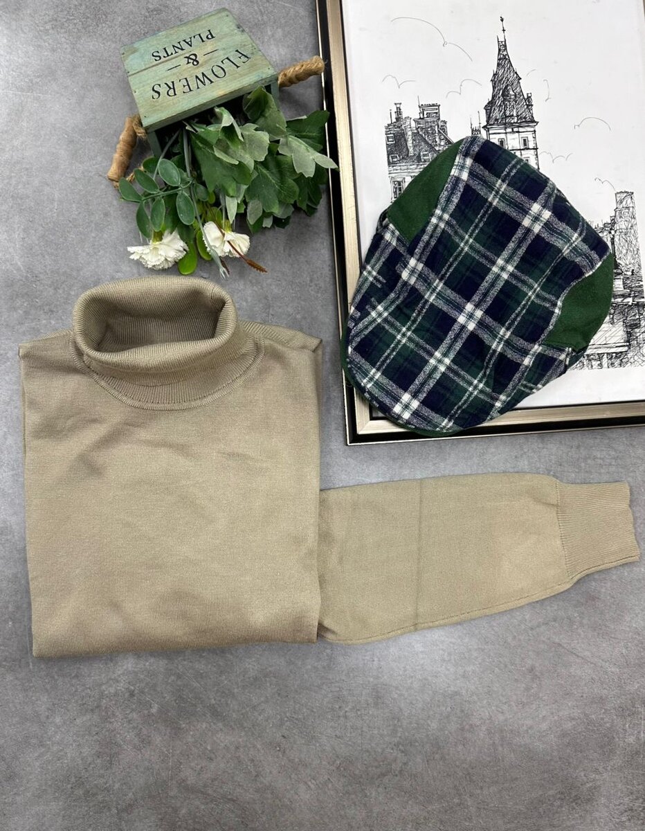 Pull Col Roulé Homme Chic