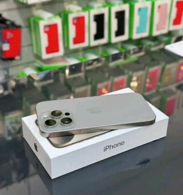 iPhone Pro Max 256 Go Argent