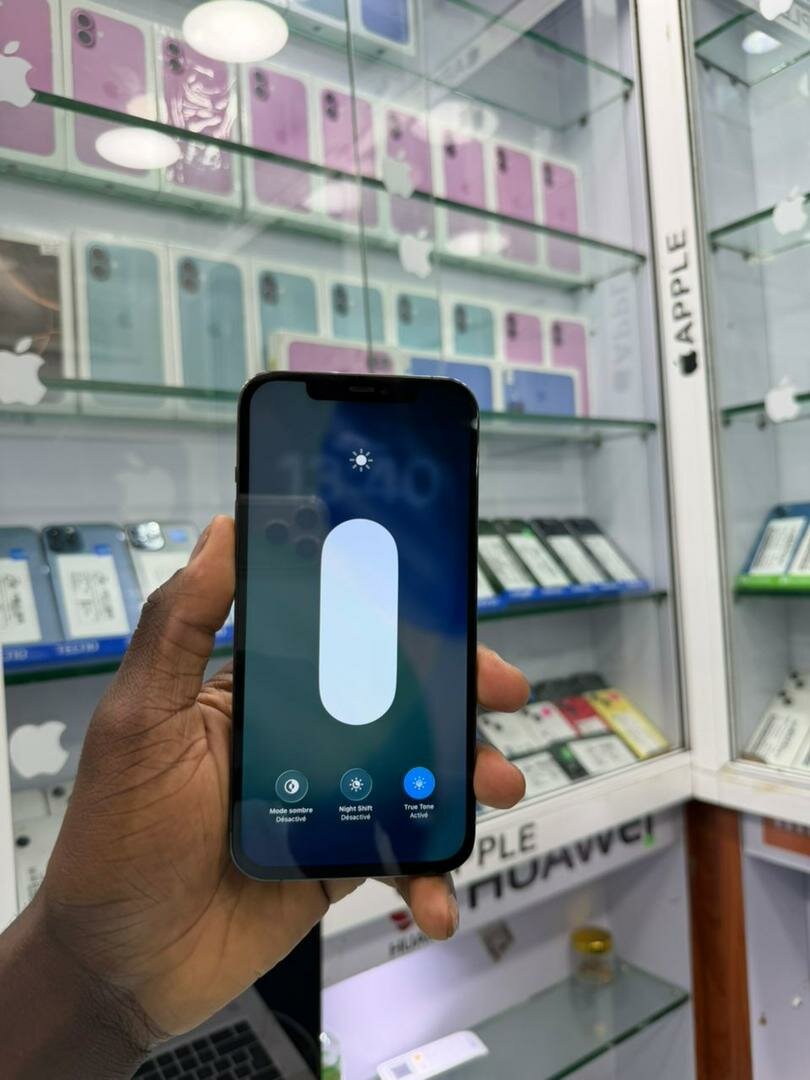 12 pro max 256 Go sans ID