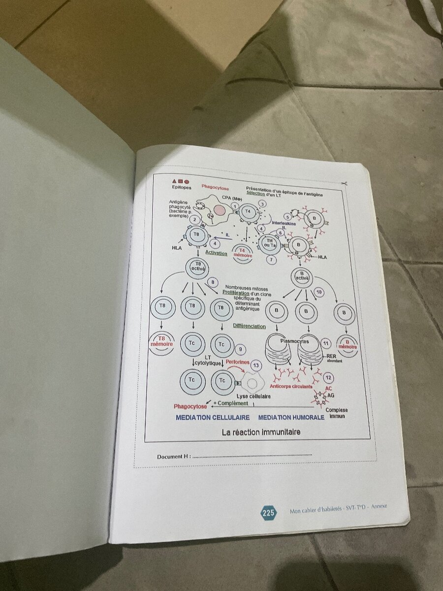 Cahier SVT Terminale