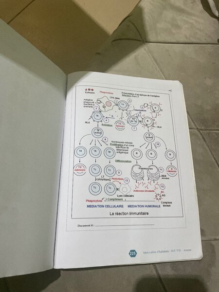 Cahier SVT Terminale