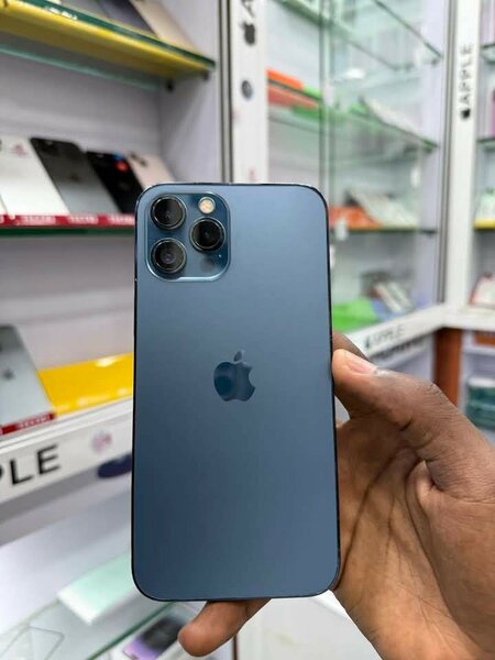 iPhone 12 Pro Max 256GB Bleu