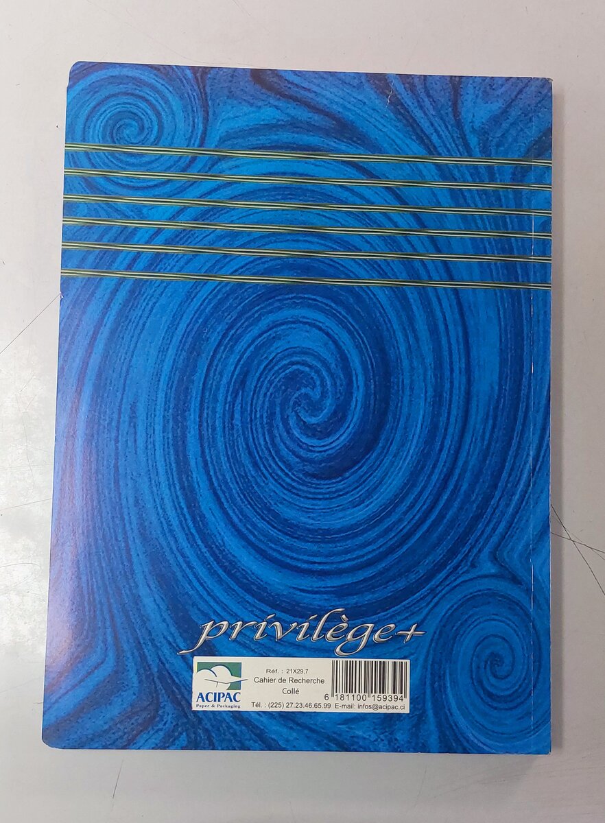 Cahier de Recherche 300 Pages