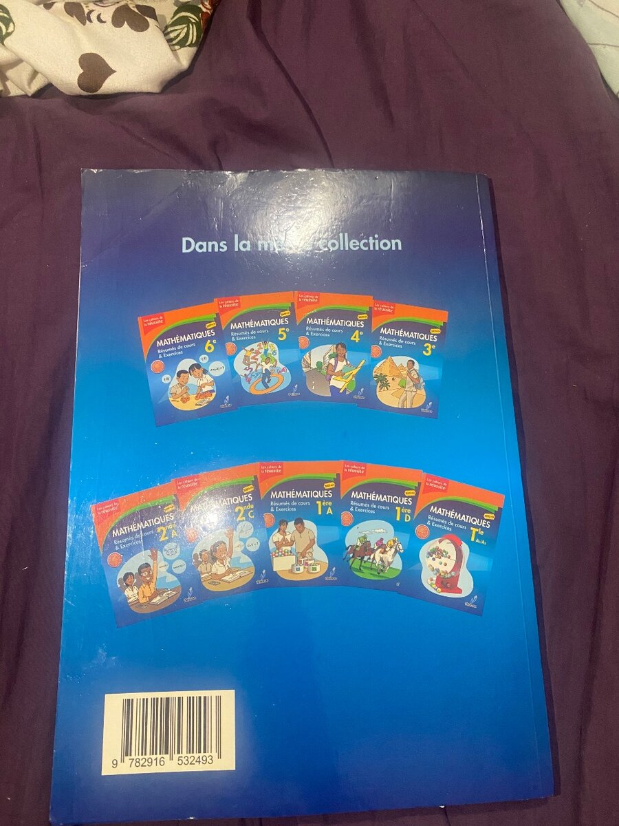 Mathématiques Terminale D