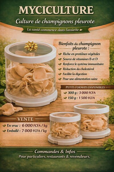 Pleurotes Fraîches Bio